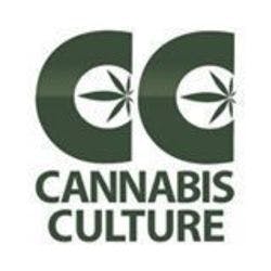 Cannabis Culture - West Broadway